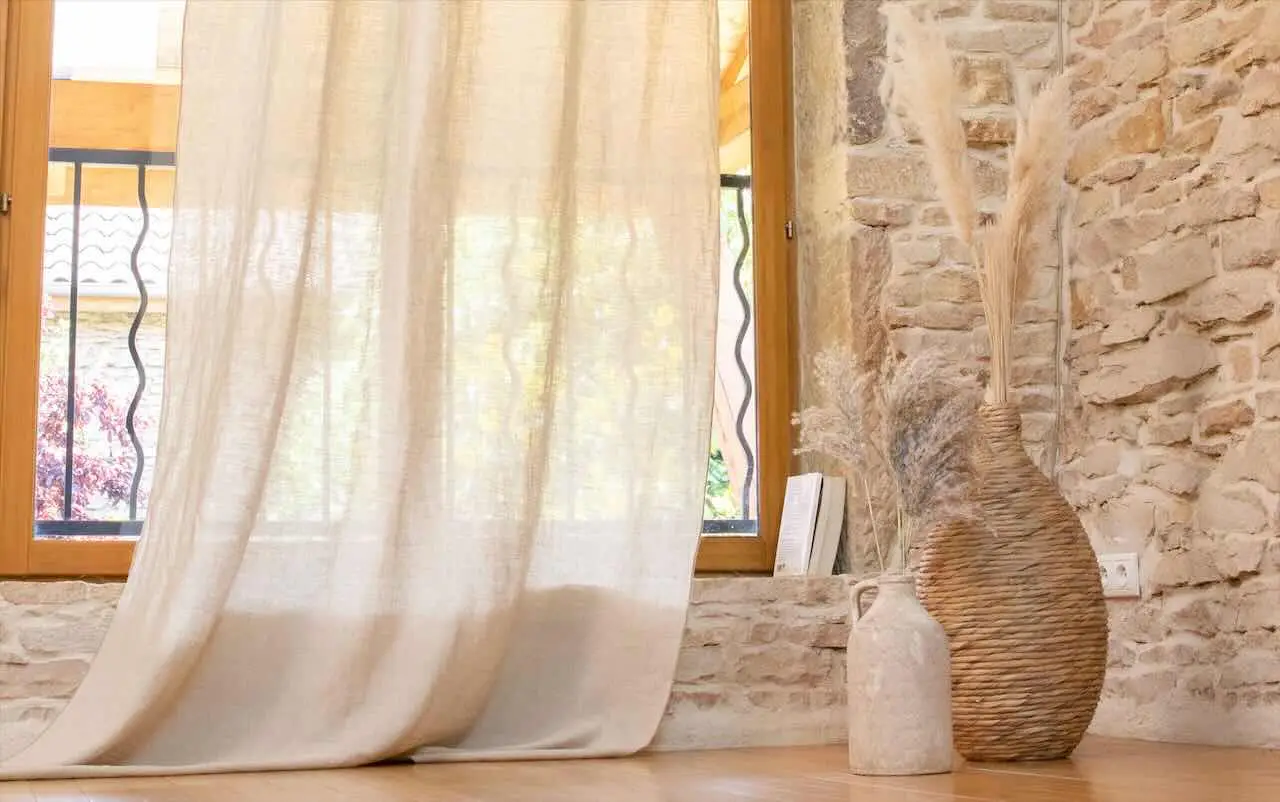Immagine selezionata