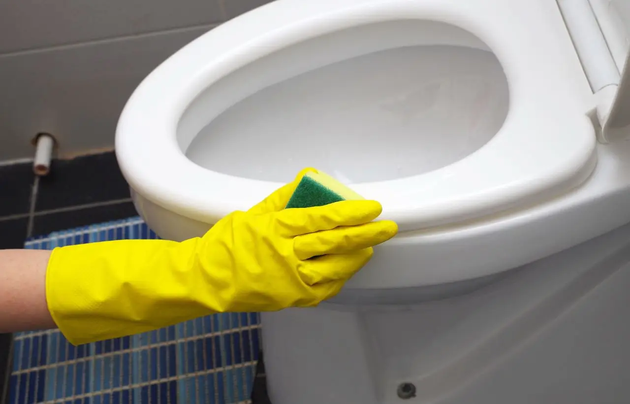 Immagine selezionata