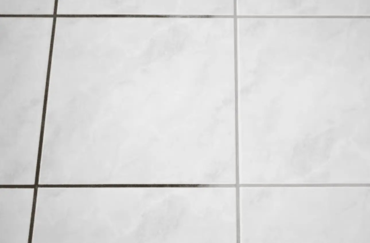 Immagine selezionata