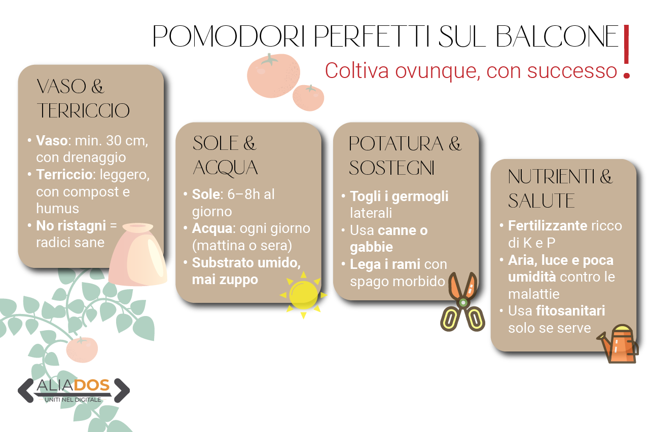 Immagine selezionata